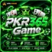 PKR365 Game APK Latest Version 2026 - Featured Image